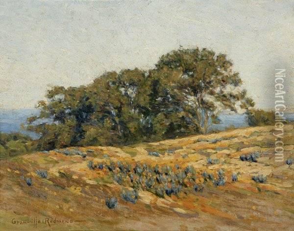 Oak Trees And Poppies In A California Coastal Landscape Oil Painting - Granville Redmond
