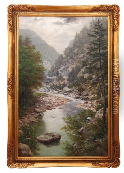 Horska Bystrina Oil Painting - Josef Mathauser
