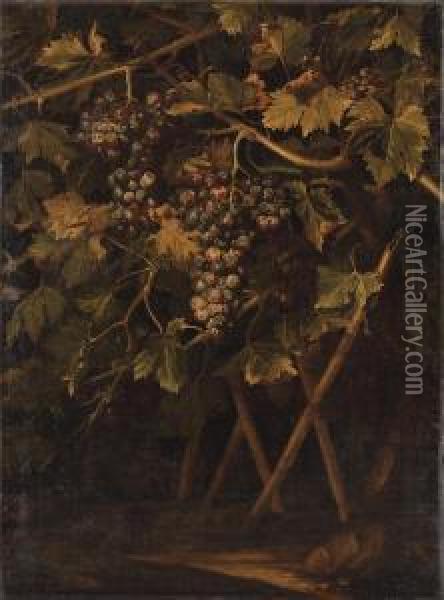 Un Cep De Vigne Oil Painting - Michelangelo Cerqouzzi