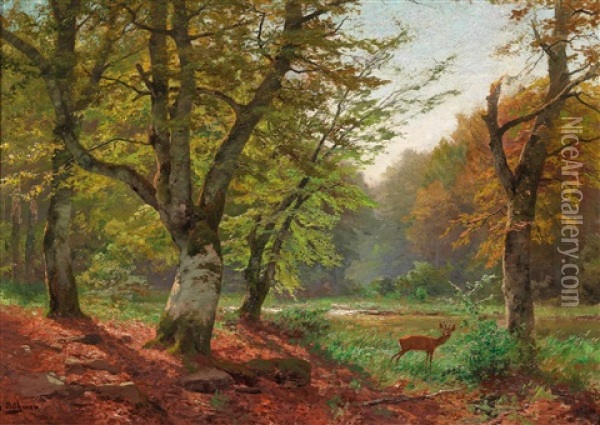 Roebuck In A Forest Clearing Oil Painting - Heinrich Boehmer