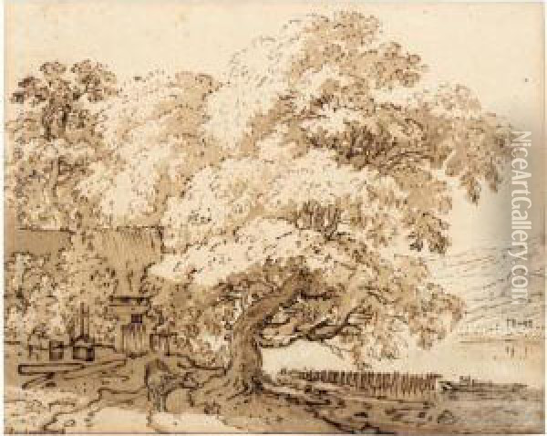 Farm Buildings Amongst Large Trees On A River Bank, With Hills Behind Oil Painting - Jan Hackaert
