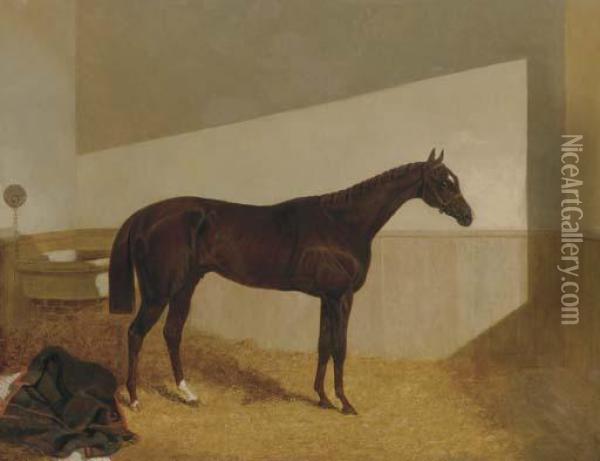 The Baron, Winner Of The St. Leger Oil Painting - John Frederick Herring Snr