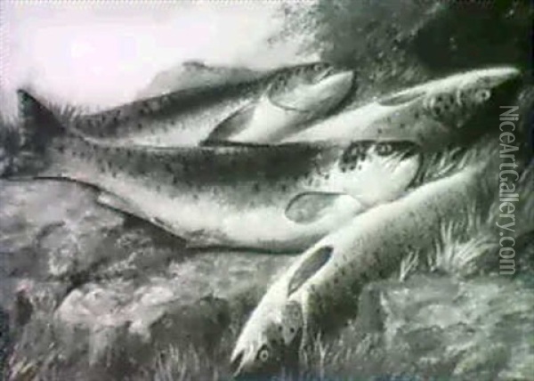 Trout Oil Painting - John Bucknell Russell
