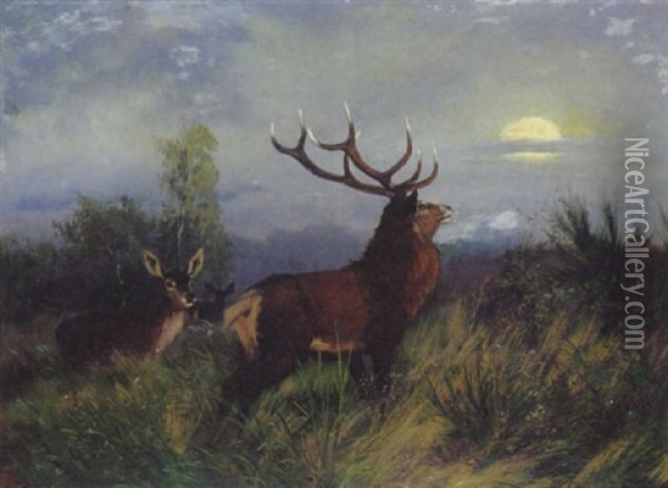 Hirsch Und Rehe Im Abendlicht Oil Painting - Carl Friedrich Deiker