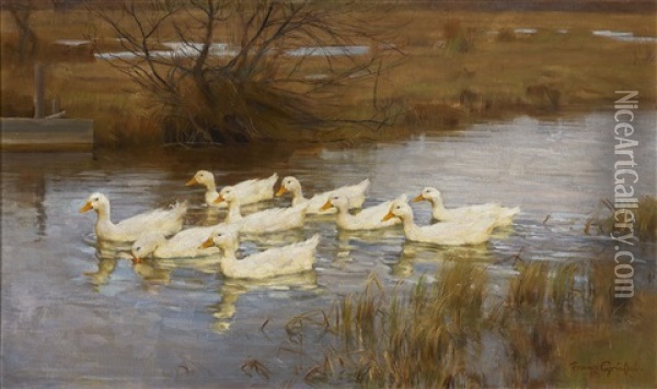 Neun Enten Auf Dem Wasser Oil Painting - Franz Graessel