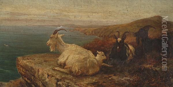 Goats On A Coastal Cliff Top Oil Painting - Heywood Hardy