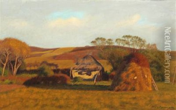 Harvest Scenery In Evening Light Oil Painting - Niels Bjerre