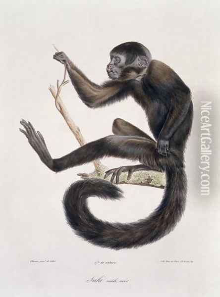 Saki Noir monkey, male, engraved by the artist, plate 367 (78) from Vol 4 of 'The Natural History of Mammals' by Georges Cuvier and E. Geoffroy Saint-Hilaire, pub. 1842 Oil Painting - Werner