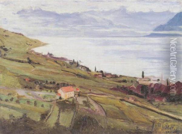 Vue Du Lac Leman Oil Painting - Ernest Bieler