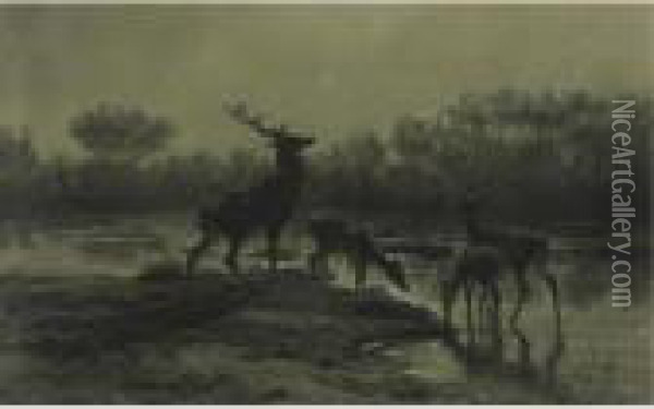 Deer Drinking By A Moonlit Lake Oil Painting - Rosa Bonheur
