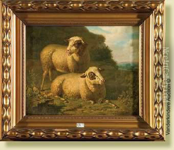 Moutons Au Pre Oil Painting - Martinus Antonius Kuytenbrouwer