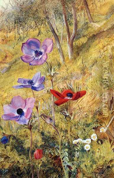 Anemones Oil Painting - Henry Roderick Newman