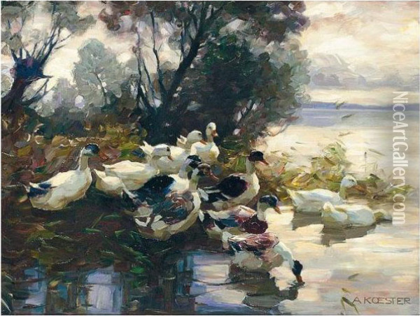 Elf Enten (eleven Ducks) Oil Painting - Alexander Max Koester