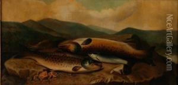 Painting Of Fish Oil Painting - John Russell