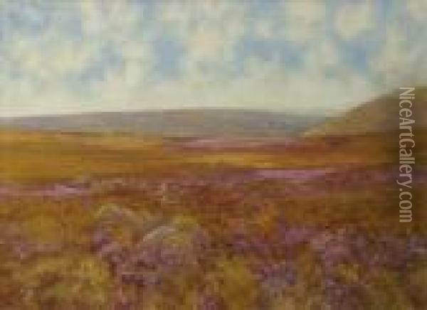 Moorlandlandscape Oil Painting - Frederick John Widgery