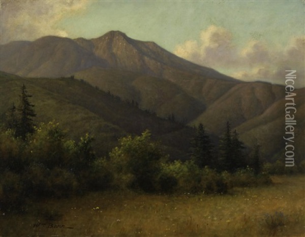 Mount Tamalpais With Redwoods Oil Painting - William Barr
