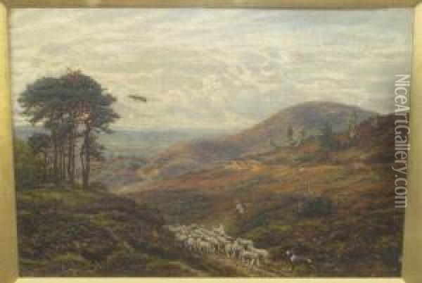 Drover And His Dog With Sheep On
 A Country Path, Probably A Scene On The Hog's Back, Surrey Signed, Oil 
On Canvas, 36.5cm By 51cm Oil Painting - George William Mote