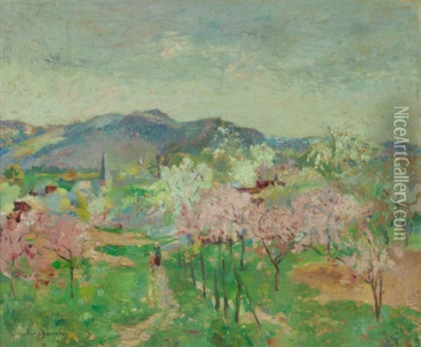 Orchard In Bloom Oil Painting - Victor Charreton