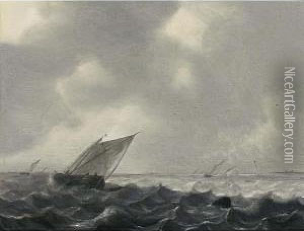 A Boeier And Other Sailing Vessels In A Stiff Breeze On The Zuiderzee Oil Painting - Hendrik van Anthonissen
