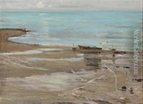 Beach Scene With Seagulls Oil Painting - Carl Ludvig Thilson Locher
