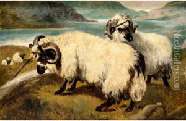 Highland Sheep By A Loch Oil Painting - Joseph Ii Crawhall
