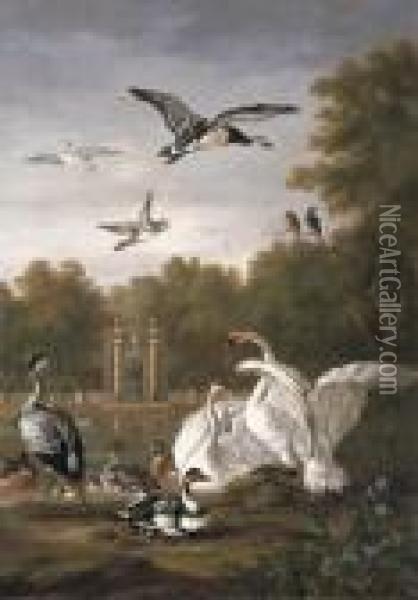 A Park With Swans, Ducks And Other Birds By A Pond Oil Painting - Pieter III Casteels