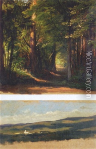 Waldinneres Im Sommer Oil Painting - Julius von Blaas