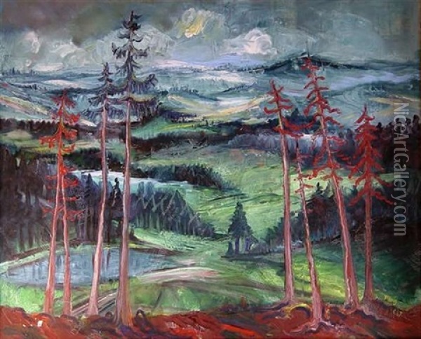 Schwarzwaldlandschaft Oil Painting - Waldemar Flaig