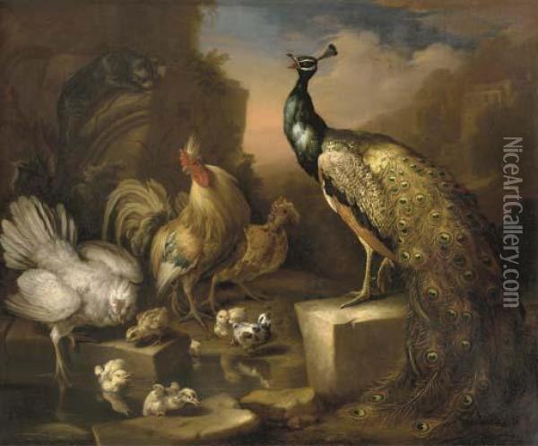 A Peacock Oil Painting - Marmaduke Cradock
