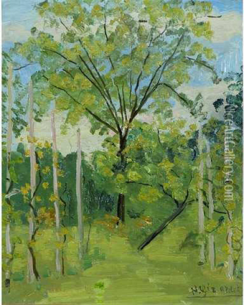Les Vignes Oil Painting - Henri Girardot