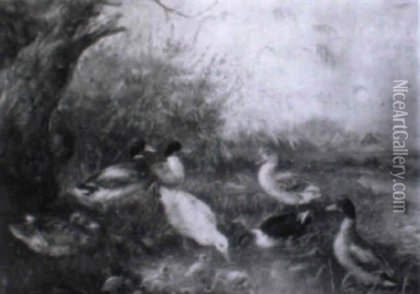 Enten Und Gans An Einem Teich Oil Painting - Julius Scheuerer