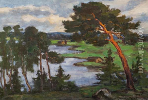 Viewover The Lake Oil Painting - Jalmari Ruokokoski