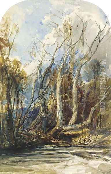 Vines on the bank of a river near Masry, Asia Minor Oil Painting - William James Muller