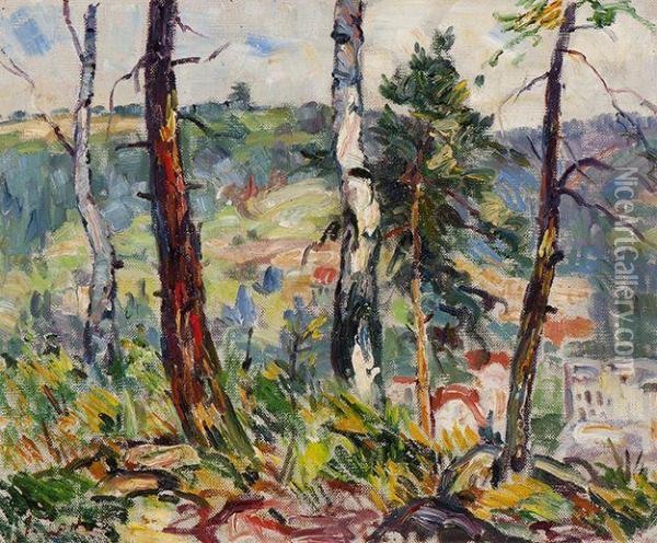 View Over A Hilly Landscape Oil Painting - Jacques Abraham Zon
