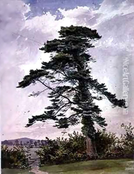 Landscape, with a Scotch Pine Oil Painting - George Bedford