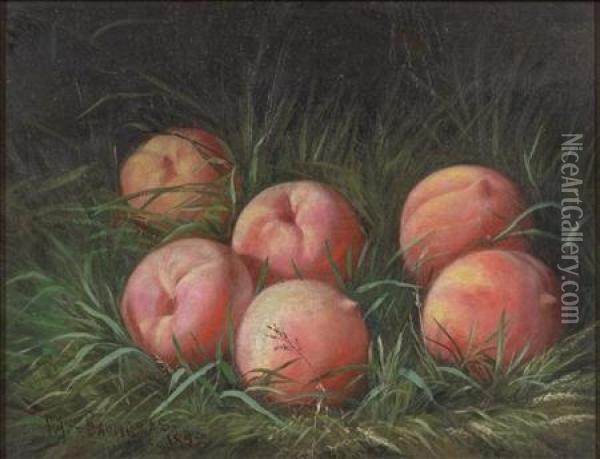 Still Life With Peaches Oil Painting - Peter Baumgras