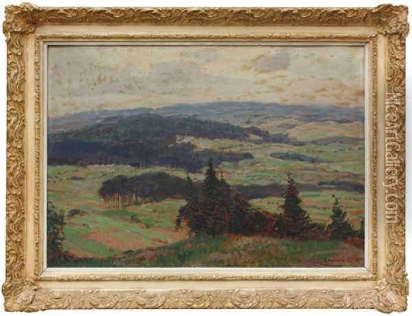 Pohled Do Krajiny Oil Painting - Gustav Macoun
