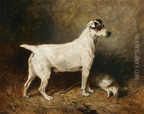 Zoe, A Fox Terrier, 1896 Oil Painting - John Emms