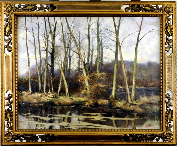 Etang Arbore Oil Painting - Fernand Ley