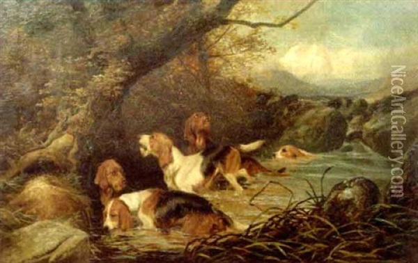 Otterhounds On The Scent Oil Painting - Colin Graeme