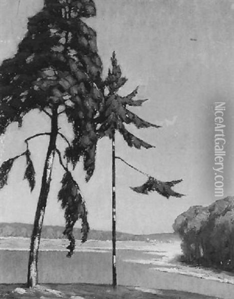 Zwei Baume Vor Seelandschaft Oil Painting - Max Joseph Pitzner