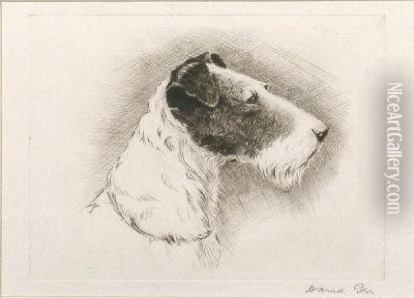Study Of A Fox Terrier Oil Painting - David Gee