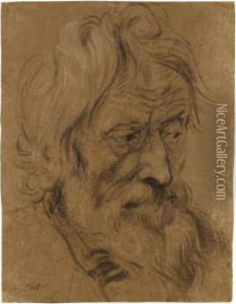 Head Of A Bearded Man, Three Quarters Profile Oil Painting - Adam van Noort