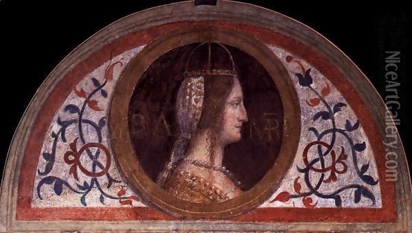 Portrait of Bianca Maria Visconti Oil Painting - Bernardino Luini