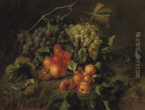 Grapes And Apricots On A Forest Floor Oil Painting - Adriana Johanna Haanen