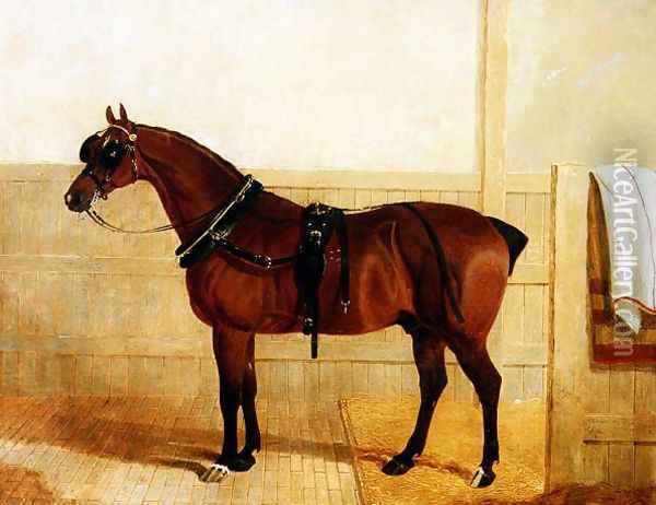 Prize Shire Horse in Harness, 1835 Oil Painting - John Frederick Herring Snr