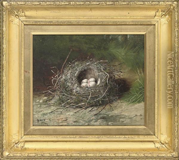 Birds Eggs In A Nest On A Grassy Bank; And Birds Eggs In A Nest Ona Sandy Bank Oil Painting - Benjamin, Ben Hold