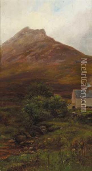 Donegal Farm, Magheradrummond, Fanad Peninsular, County Donegal Oil Painting - Alexander Williams