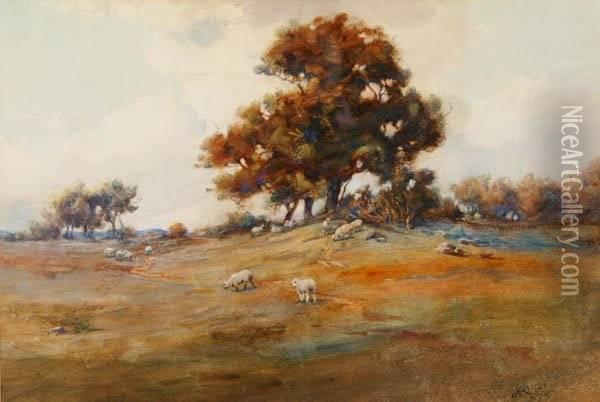 Landscape With Grazing Sheep Oil Painting - John Wesley Little