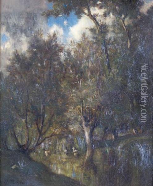 Canards Sur La Riviere En Sous-bois Oil Painting - Henri Bidault
